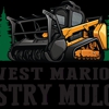 West Marion Forestry Mulching gallery