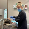 Schneider Family Dental gallery