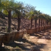 Hanson Palms gallery