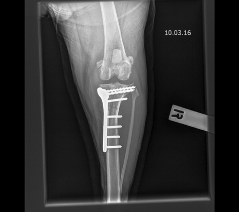 Western Suburbs Veterinary Clinic