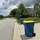 The Bin Runner