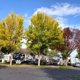 Redtail RV Park