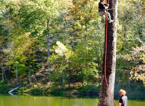 ArborTECH Tree Removal & Preservation - Louisville, KY