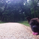 Brackenridge Park - Parks