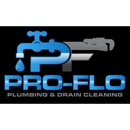 Pro-Flo Plumbing - Plumbers