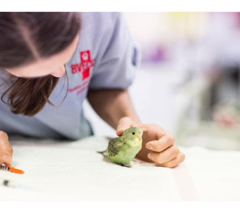 Brisbane Veterinary Emergency and Critical Care Service - Albany Creek, QLD