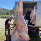 Alpine Meat Co Inc