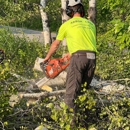 Lone Pine Tree Care - Tree Service