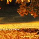 Willard H Scott Funeral Home Inc - Funeral Directors