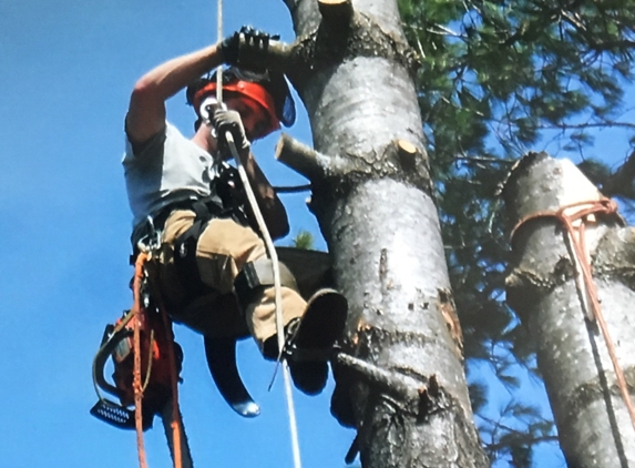 Tall Timbers Tree Service - Belmont, NH