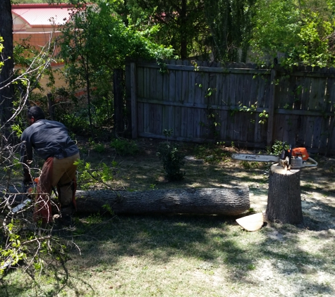 Rowland Tree Service - Cabot, AR