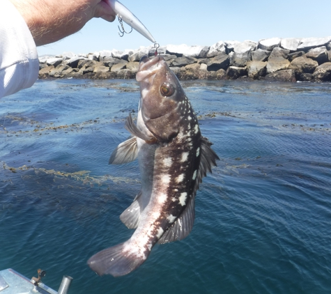 Breakwall Fishing Guide Services - Long Beach, CA