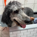 Woof Gang Bakery & Grooming Raleigh - Pet Grooming