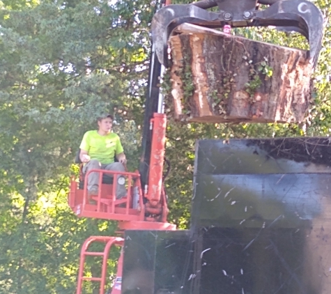 Tree Pros LLC - Remlap, AL. Tree Pros Grapple at work.