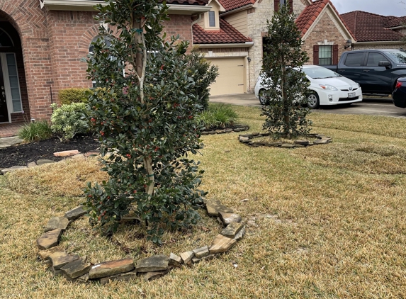 The Lone Star Tree Czar - Houston, TX. After Installation