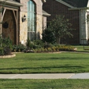 Wildlife Control Westchester - Animal Removal Services