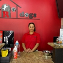 Dogs R Dogs - Pet Services