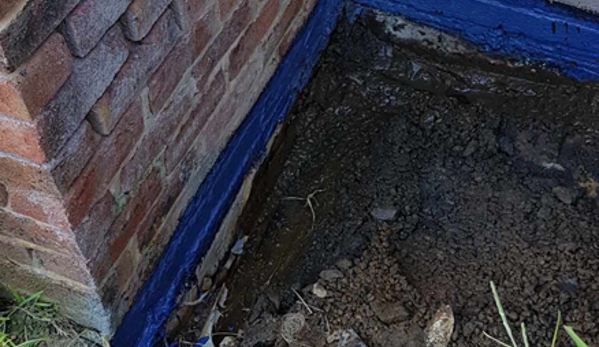 Precision Building. Rising Damp