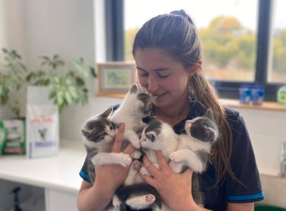 Torquay and Surfcoast Veterinary Clinics - Torquay, VIC