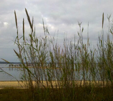 George T. Bagby State Park - Fort Gaines, GA