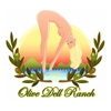 Olive Dell Ranch RV Park gallery