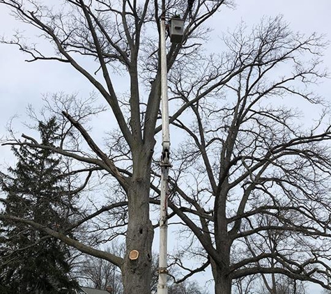 Todds Tree Service Inc - Mantua, OH
