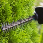 Ramos Tree Service