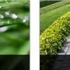 Vissat Lawn & Landscape gallery