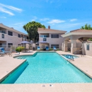 Townhomes at Biltmore - Apartments