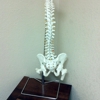 Abshire Chiropractic gallery