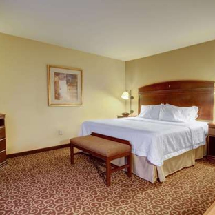 Hampton Inn & Suites Alexandria - Alexandria, MN