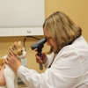 Northshore Animal Hospital gallery