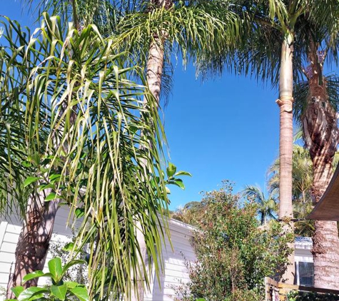 Grasslands Tree Service - Bensville, NSW