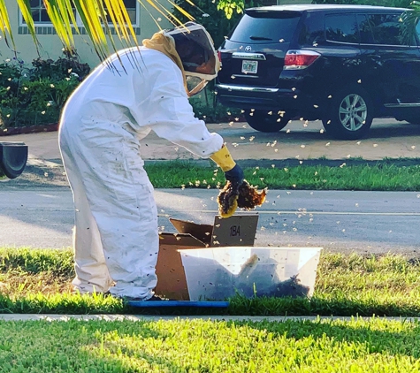 Apache pest control - Weston, FL