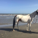 Galveston Island Horse and Pony Rides - Horse Rentals