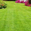 Linex Property Care - Lawn Maintenance