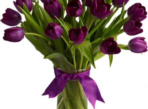 Sunnywoods Florist - Chatham, NJ. Purple Passion Tulips!