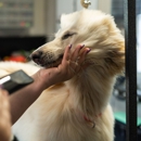 Best In Show Paws & Pastures - Pet Services