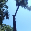 Hidden Valley Tree Service gallery