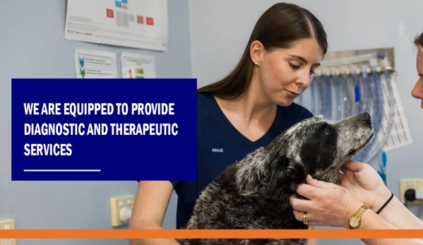 My Vets Thornton - Thornton, NSW. We are equipped to provide diagnostic and therapeutic services.