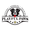 Playful Paws gallery