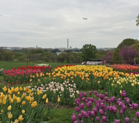 Netherlands Carillon - Arlington, VA