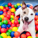 Prestige Pet Resort & Spa - Pet Boarding & Kennels