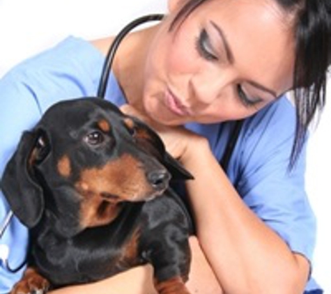 Seminole Animal Hospital - Sanford, FL