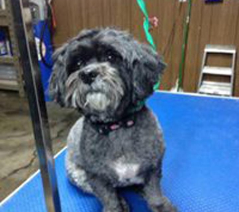 Paula's Pet Grooming - Bourbonnais, IL