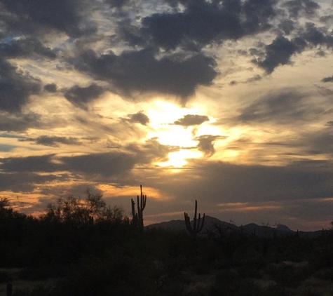 Desert Willow Park - Phoenix, AZ