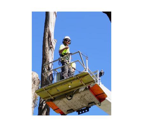 Sapphire Coast Tree Service & Tower Hire - South Pambula, NSW
