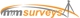 M & M Surveys Logo