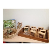 Gallery Image Number 4