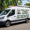 Animal Control & Removal Sacramento gallery